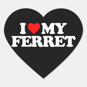 IK HOOP VAN MIJN FERRET HART STICKER