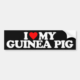 IK HOOP VAN MIJN GUINEE PIG BUMPERSTICKER