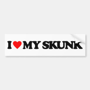 IK HOOP VAN MIJN HUIS BUMPERSTICKER