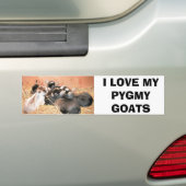 IK HOOP VAN MIJN PYGMY GOATS BUMPERSTICKER (Op auto)