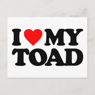 IK HOOP VAN MIJN TOAD BRIEFKAART
