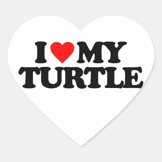 IK HOOP VAN MIJN TURTLE HART STICKER (Voorkant)