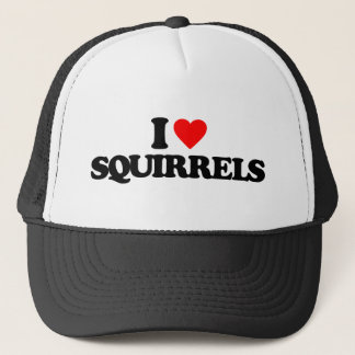 IK HOOP VAN SQUIRRELS TRUCKER PET