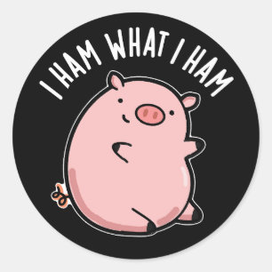 Ik hoop wat ik noem Funny Pig Donk BG Ronde Sticker