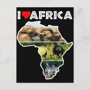 Ik hoor Afrika Briefkaart van wilde dieren