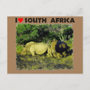 Ik hoor het Zuid-Afrika Rijnparen Briefkaart