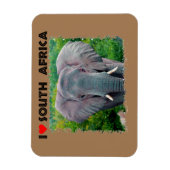 Ik hoor jonge olifant uit Zuid-Afrika Magneet (Verticaal)