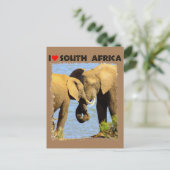 Ik hoor liefdevolle olifanten uit Zuid-Afrika Briefkaart (Staand voorkant)