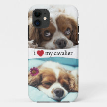 Ik hoor mijn Cavalier King Charles Spaniel