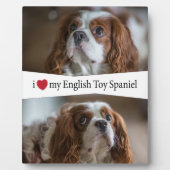 Ik hoor mijn Engelse Speelgoed Spanje Fotoplaat (Voorkant)