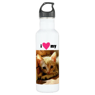 Ik hoor mijn kat waterfles