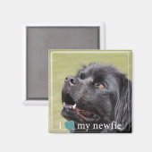 Ik hoor mijn Newfie Newfoundland White Border Magneet (Voorkant / Achterkant)
