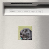 Ik hoor mijn Newfie Newfoundland White Border Magneet (Insitu (Vaatwasser))