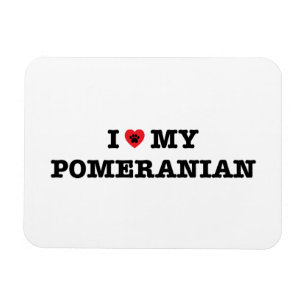 Ik hoor mijn Pommeren Magneet