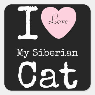 Ik hoor mijn Siberische kat-sticker Vierkante Sticker