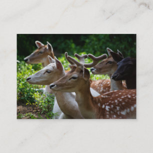 Ik hoor Mini Print Visitekaartje