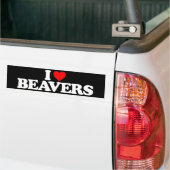 IK HOOR VAN BEAVERS BUMPERSTICKER (Op Truck)