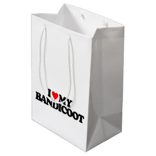 IK HOOR VAN MIJN BANDICOOT MEDIUM CADEAUZAKJE