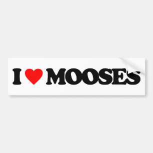 IK HOOR VAN MOSES BUMPERSTICKER