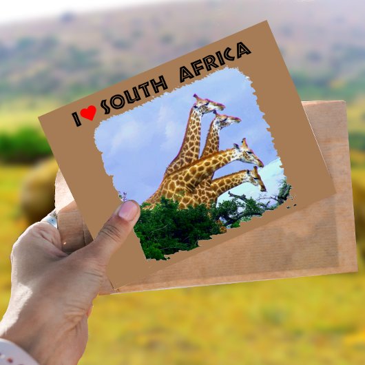 Ik hoor Zuid-Afrika 4 Giraffe Briefkaart