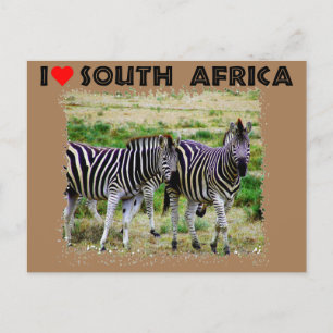 Ik hoor Zuid-Afrika als jonge zebra paar Briefkaart