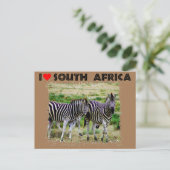 Ik hoor Zuid-Afrika als jonge zebra paar Briefkaart (Staand voorkant)