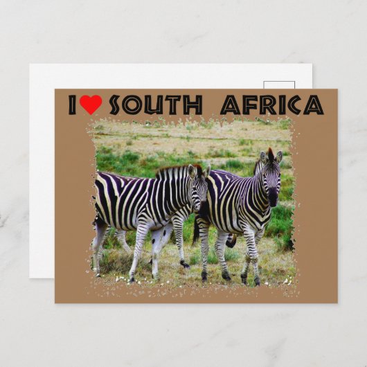 Ik hoor Zuid-Afrika als jonge zebra paar Briefkaart (Voorkant / Achterkant)