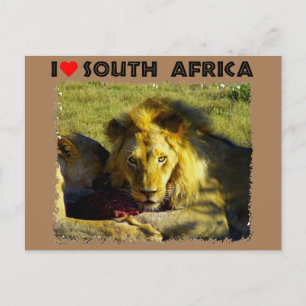 Ik hoor Zuid-Afrika Briefkaart