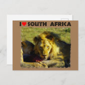 Ik hoor Zuid-Afrika Briefkaart (Voorkant / Achterkant)
