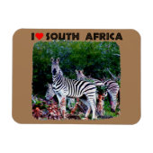 Ik hoor Zuid-Afrika Zebra Aloe Magneet (Horizontaal)