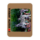 Ik hoor Zuid-Afrika Zebra Aloe Magneet (Verticaal)