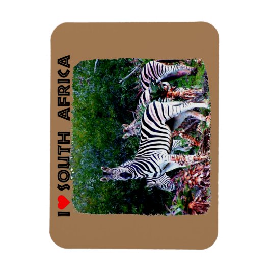 Ik hoor Zuid-Afrika Zebra Aloe Magneet (Verticaal)