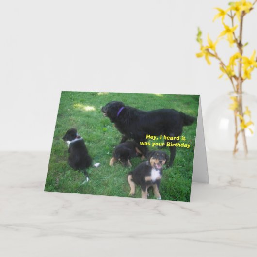 Ik hoorde dat het je verjaardag was kaart (Gele Bloem)