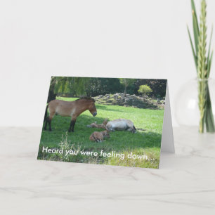 Ik hoorde dat je je neervoelde... kaart