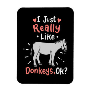 Ik hou echt van Donkeys Magneet