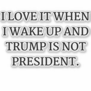 IK HOU ERVAN ALS IK WAKKER WORD EN TRUMP NIET PRES STICKER