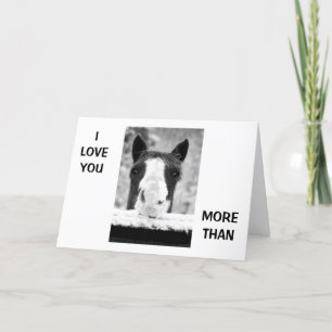 "IK HOU MEER VAN JE DAN VAN PAARDEN" HOU VAN JE KA KAART