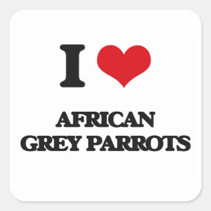 Ik hou van Afrikaanse grijze parrots Vierkante Sticker
