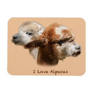 Ik hou van alpacas Magnets Magneet