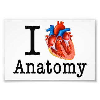 Ik hou van Anatomie Foto Afdruk