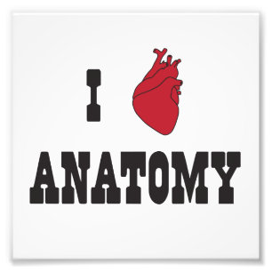 Ik hou van anatomie foto afdruk