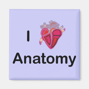 Ik hou van anatomie met menselijk hart! magneet
