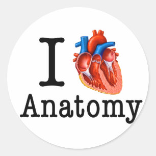 Ik hou van Anatomie Ronde Sticker