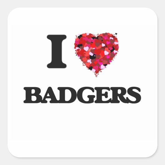Ik hou van Badgers Vierkante Sticker (Voorkant)