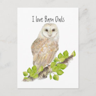 Ik hou van Barn Owls - Bird Briefkaart