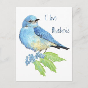 Ik hou van Bluebirds, Bird Collectie Briefkaart