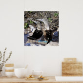 Ik hou van Boobies! Poster (Keuken)