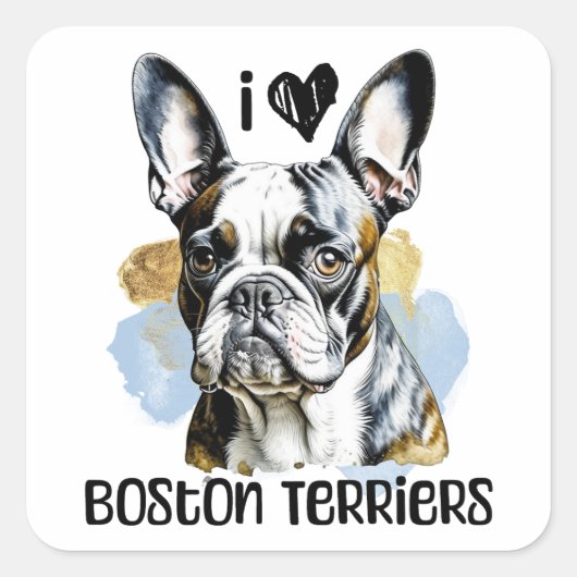 Ik hou van Boston Terriers Vierkante Sticker (Voorkant)