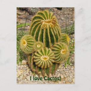 Ik hou van Cactus Ansichtkaart Briefkaart