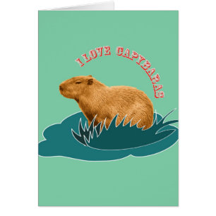 Ik hou van capibara's